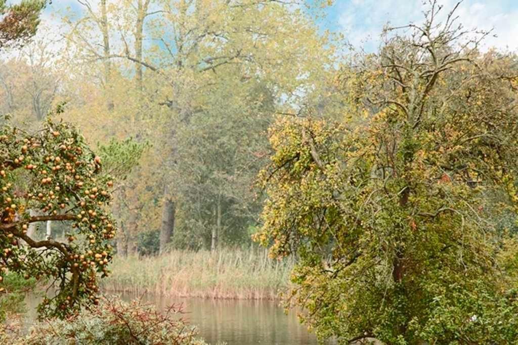 Appartamento Duenen-Residenz B 05 Heringsdorf  Esterno foto
